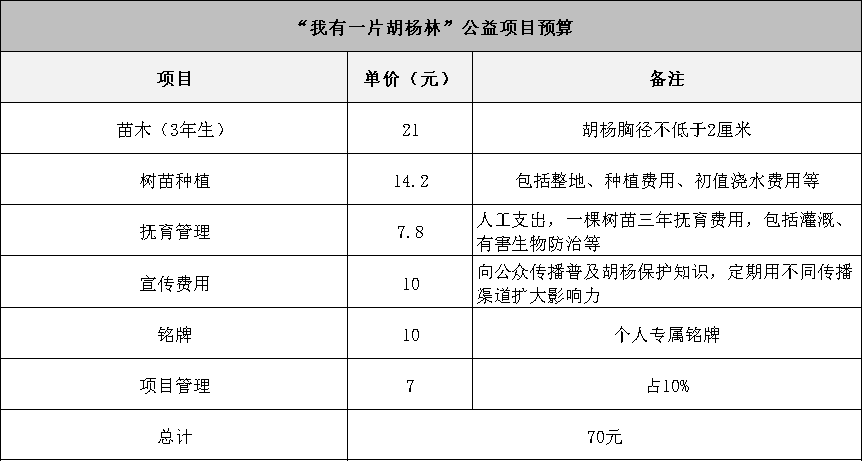 胡杨新疆项目预算.png