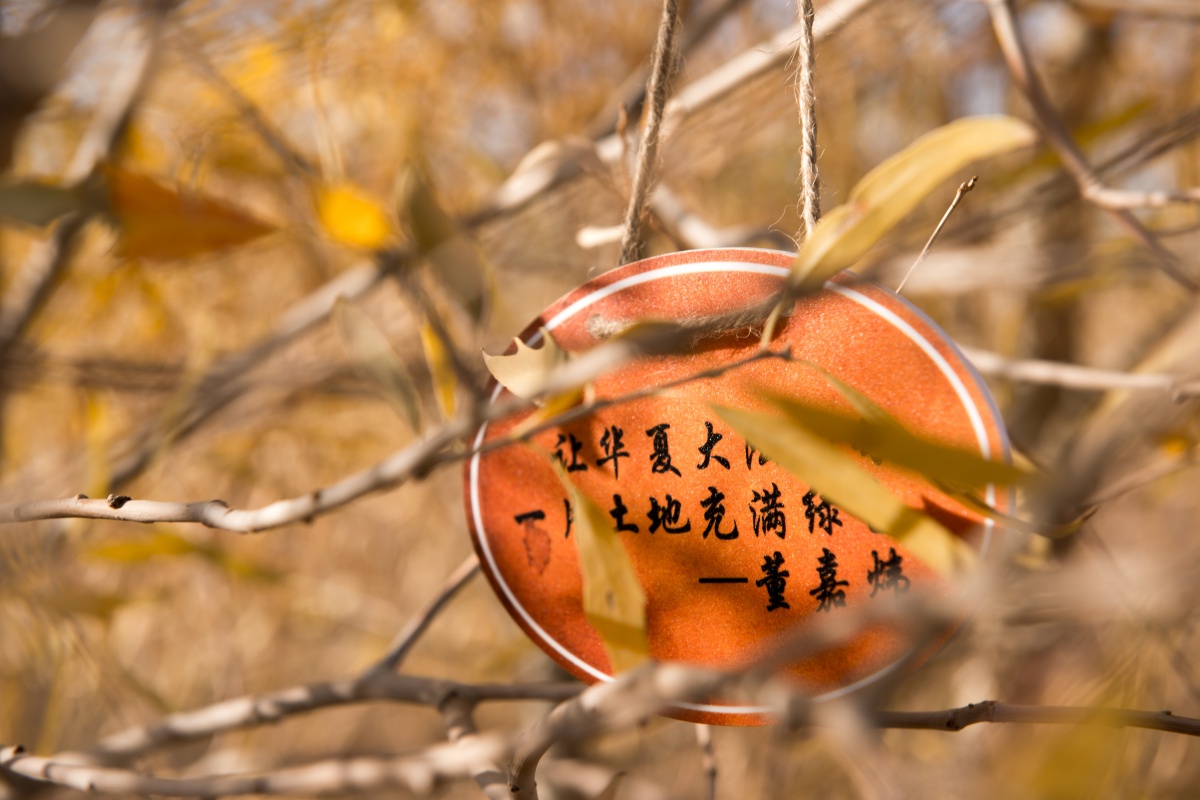 0b8c3f03e37face5a59573eb95eaf47_副本.jpg