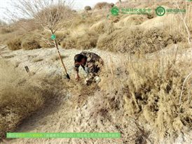 微信图片_20250226135310