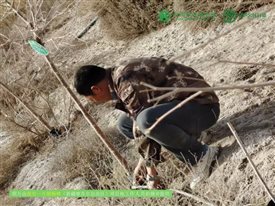 微信图片_20250226135300